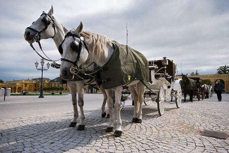 05_Zahraničí 138